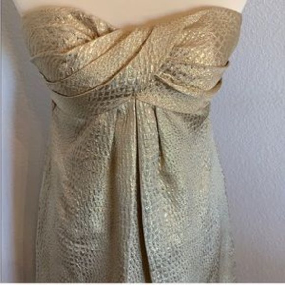 Cache NYE Metallic Gold Textured Strapless Dress - Picture 4 of 8